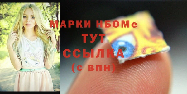 прущий лед Няндома