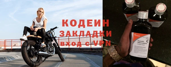 крисы Нягань