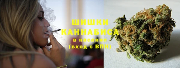 крисы Нягань