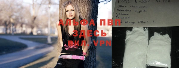 ГАЛЛЮЦИНОГЕННЫЕ ГРИБЫ Бикин