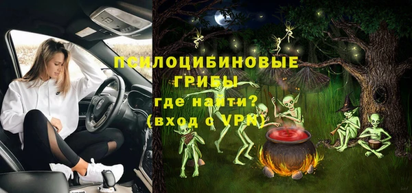 прущий лед Няндома