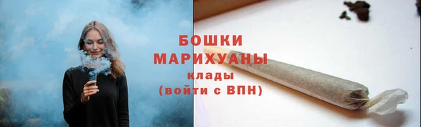 крисы Нягань