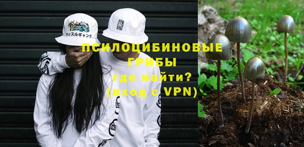 прущий лед Няндома