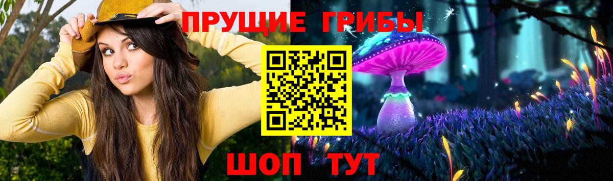Галлюциногенные грибы MAGIC MUSHROOMS Электросталь